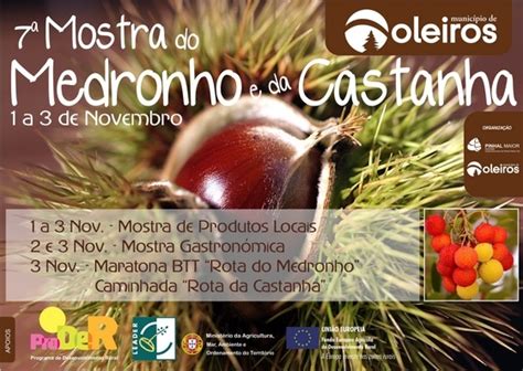 7 ª Mostra do Medronho e da Castanha de 1 a 3 de novembro Município