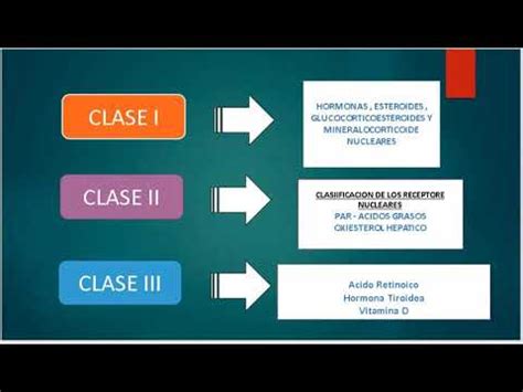 FARMACOLOGÍA DE LOS RECEPTORES NUCLEARES SEMINARIO 10 YouTube