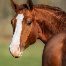 I Cooked Naked For A Week And It Was An Absurdly Sexy Experiment Everyone Should Try