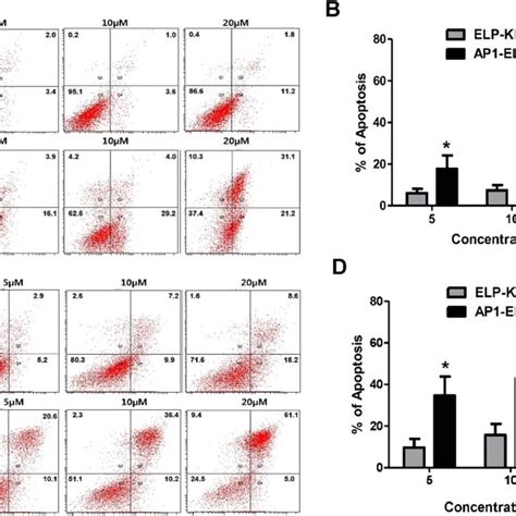 AP1 ELP KLAK Induced Apoptosis In Glioblastoma Cells A And C