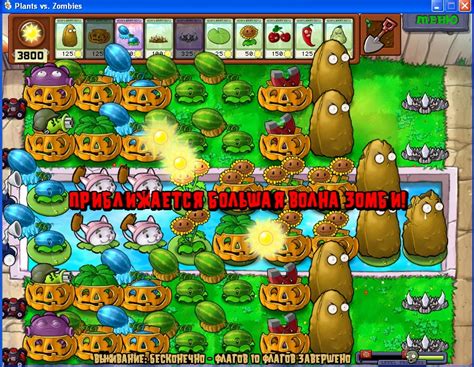 Plants vs zombies online - garrynex