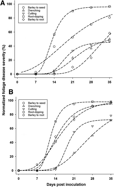 Evaluating Inoculation Methods To Infect Sugar Beet With Fusarium