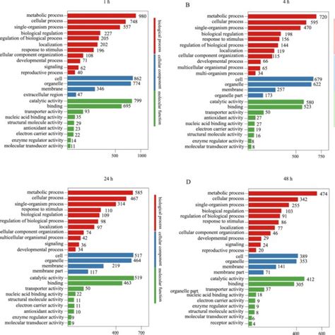 Gene Ontology Go Functional Classifications Of Differentially