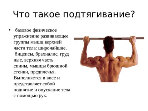 Тема: Подтягивание и отжимание