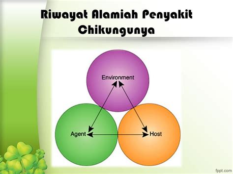 Epidemiologi Chikungunya Kelompok Chikungunya Chikungunya Chikungunya