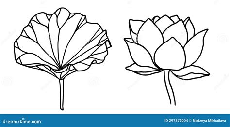 Lotus Flowers Leaves And Buds Black Line Art Set Of Vector Illustration Stock Vector