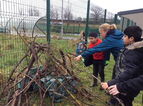 Den Building
