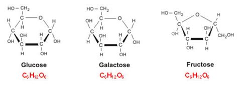 [SOLVED] Why are glucose fructose and galactose known as isomers - Self ...