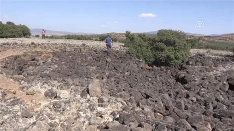 Yaban Hayatının Güzellikleri Fotokapanlara Takıldı Son Dakika