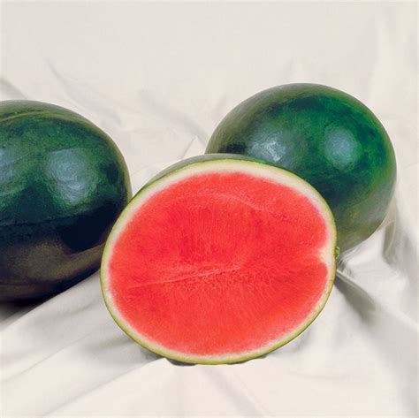 Watermelon Sweet Gem F1 – Harris Seeds