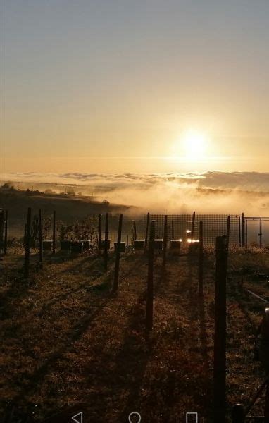 Teren Intravilan Boldesti Scaeni Cartier Seciu