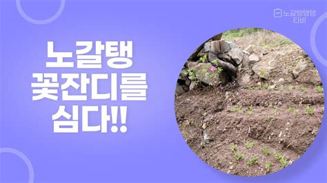 봄의 전령사 꽃잔디 번식 기초공사 시작해요~~~ Youtube