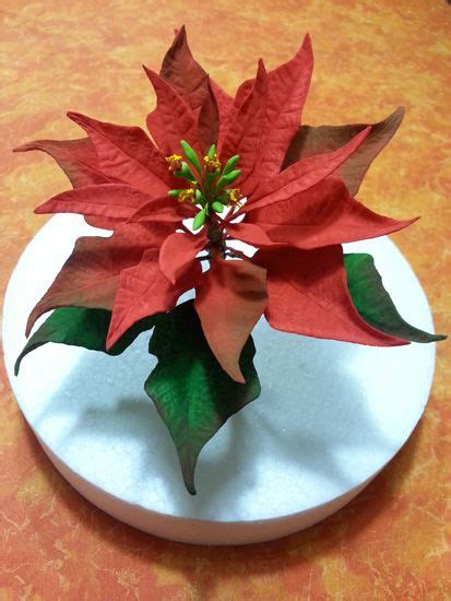 Tutorial Di Cake Design Come Realizzare Una Stella Di Natale