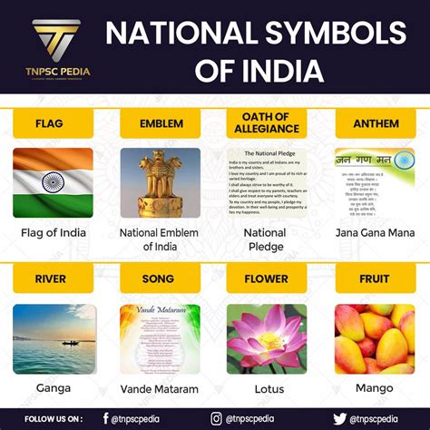 National Symbols Of India Part Preschool Theme Activities