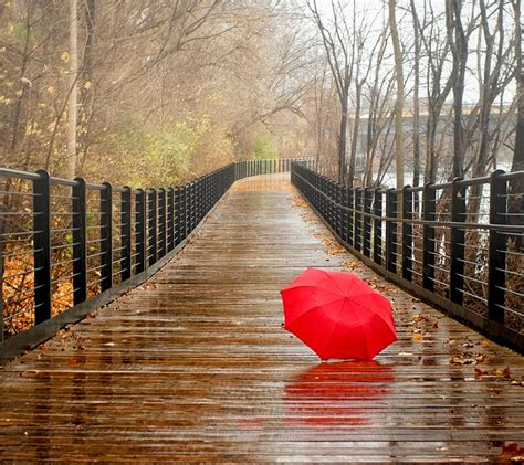 Beautiful Rainy Day Images Free