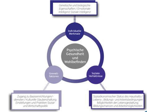 Mentale Gesundheit Was Bedeutet Das Sports Mental Health Lab