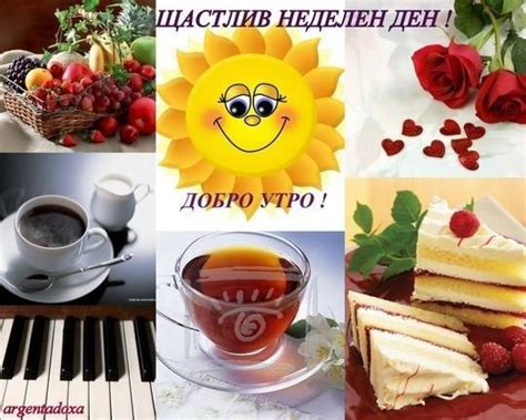 Животът. . . :: Неделя е.