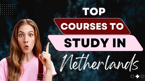 Best Courses In The Netherlands Top Universities And Programs