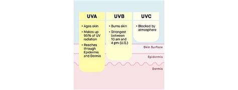 Uva Vs Uvb Rays Whats The Difference Slmd Skincare By Sandra Lee Md Dr Pimple Popper