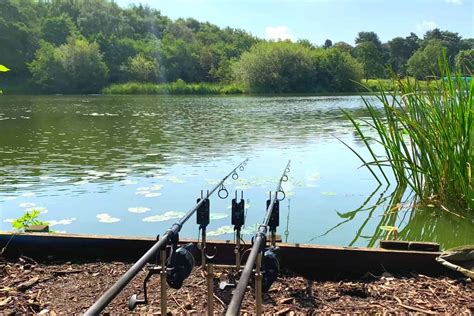 Cheshire Carp Fishing Lakes Near Me Discover The Best Fishing Spots