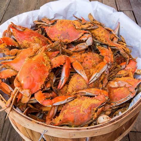 Large Male Maryland Blue Crabs Delivered Camerons Seafood