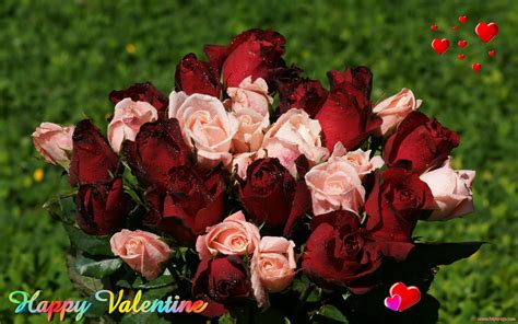 Valentine Roses Wallpaper - WallpaperSafari