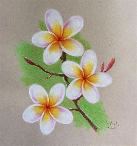 Colorful Flower Drawing on Branch