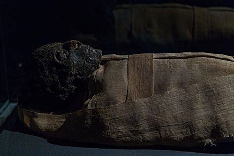 The mummy of King Ahmose I at the Luxor Museum. : r/OutoftheTombs