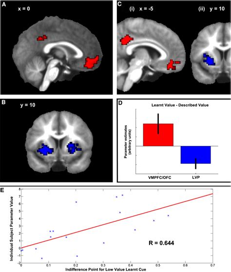 Figure 3 From Differentiable Neural Substrates For Learned And