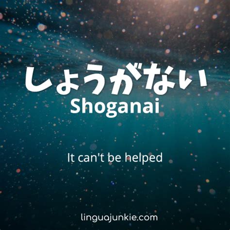 54+ Untranslatable, Beautiful Japanese Words & Phrases