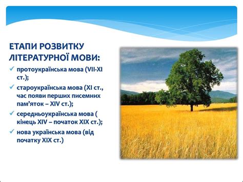 Українська мова професійного спрямування у системі літературної мови ...