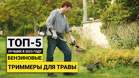 Рейтинг ТОП-5 лучших бензиновых триммеров для травы | Как выбрать ...