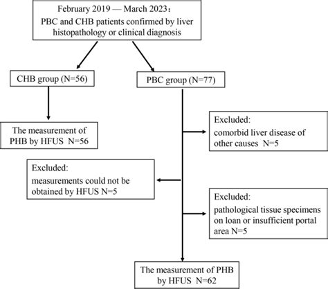 A New Method To Estimate The Histological Stage Of Primary Biliary