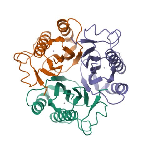 RCSB PDB 1PF5 Structural Genomics Protein YJGH