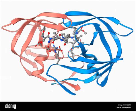 HIV 1 Protease And Inhibitor Stock Photo Alamy