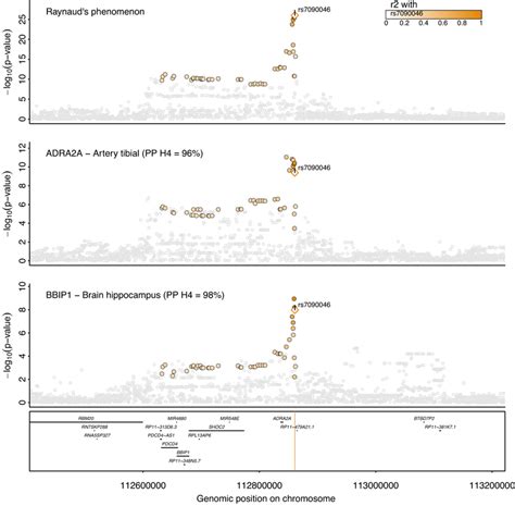 Regional Association Plot At ADRA2A BBIP1 Regional Association Plot For