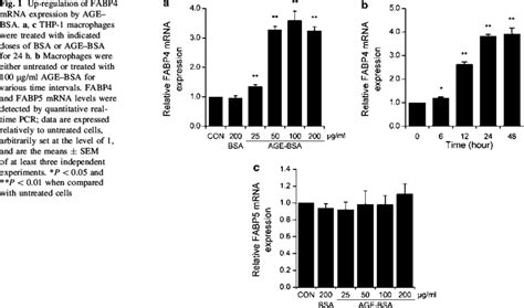 Up Regulation Of FABP4 MRNA Expression By AGE BSA A C THP 1