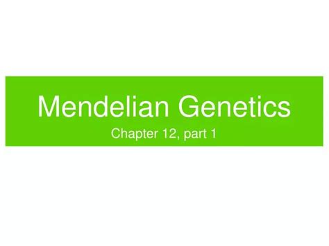 Ppt Mendelian Genetics Powerpoint Presentation Free Download Id 6111502