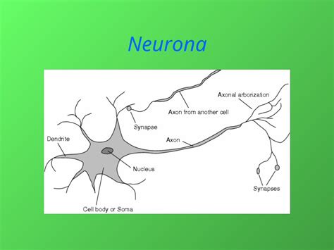 PPT Ppt Redes Neuronales DOKUMEN TIPS