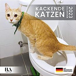 Kackende Katzen Kalender 2023 Das lustige Geschenk für Männer Frauen