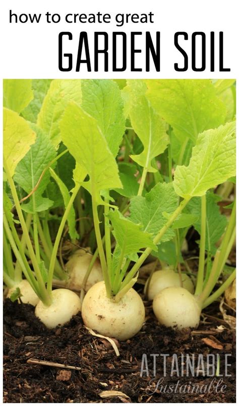 Good garden soil is the key to successfully growing your own veggies ...