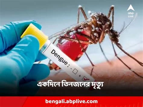 Dengue বাড়ছে উদ্বেগ আতঙ্ক ডেঙ্গি আক্রান্ত হয়ে একইদিনে তিনজন মৃত্যু