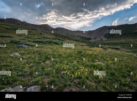 Collegiate Peaks Wilderness Stock Photo Alamy