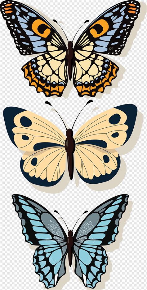 Butterflies Elements Png PNGWing