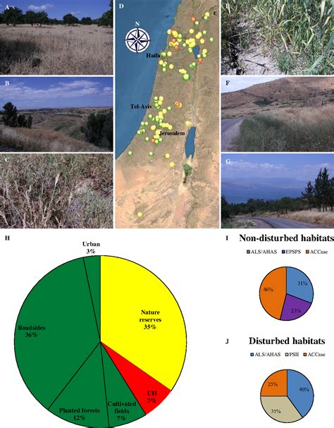 Figure From Evolution Of Herbicide Resistance Mechanisms In Grass