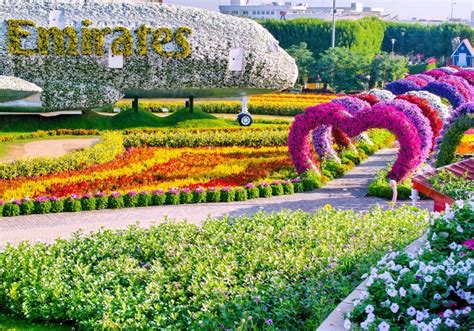 Dubai Miracle Garden Info Biglietti Apertura Cosa Vedere