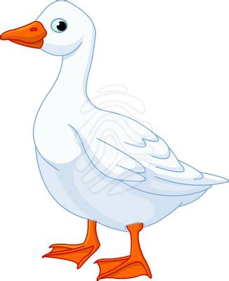 Clip Art White Domestic Goose Clipart Panda Free Clipart Images