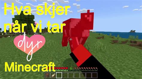 N R Mobs Faller Slipper De Tilfeldige Ting Minecraft Youtube