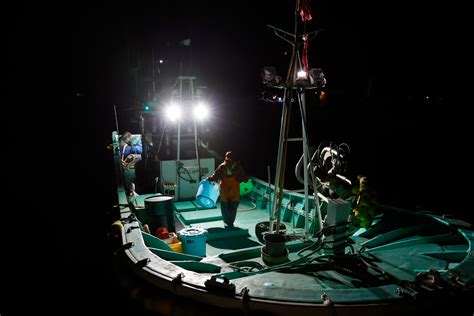 Fukushima water release stokes fresh fears for fisherman