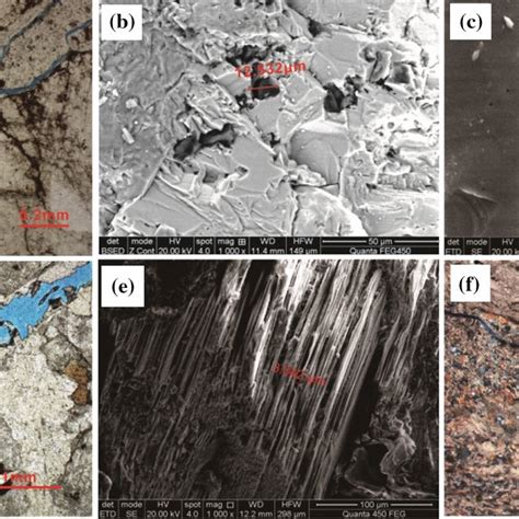 Photographs Of Thin Sections And Scanning Electron Microscope Sem Download Scientific Diagram